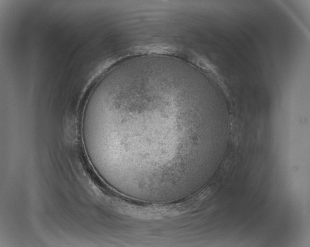 X0000079580012200612011230