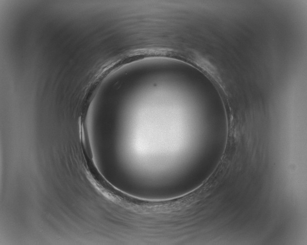 X0000079580013200612011230
