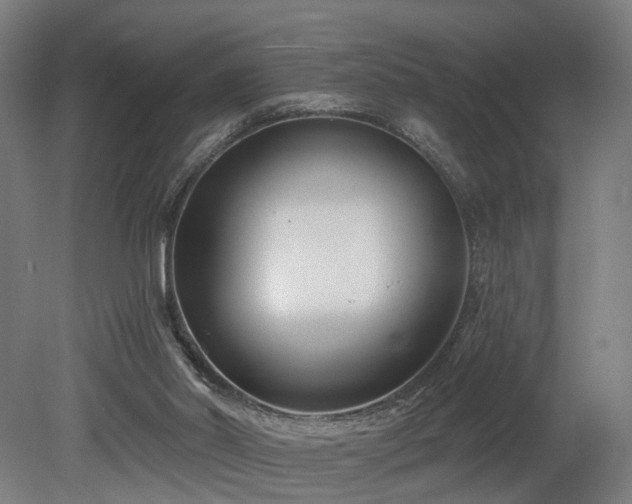 X0000079580014200612011230