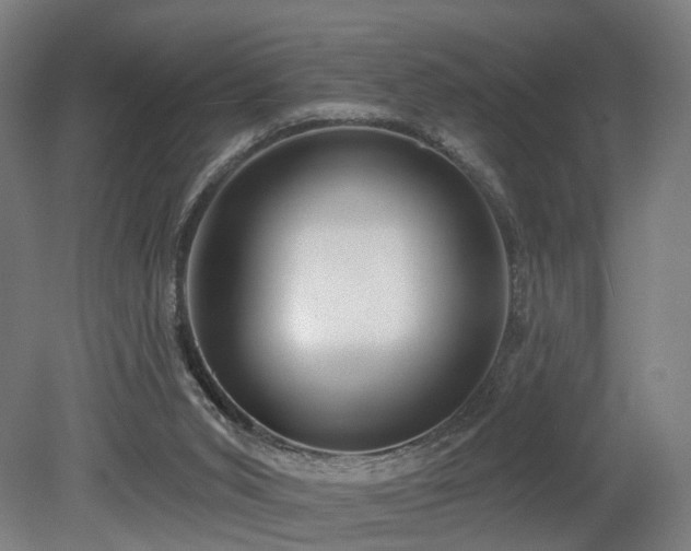 X0000079580015200612011230