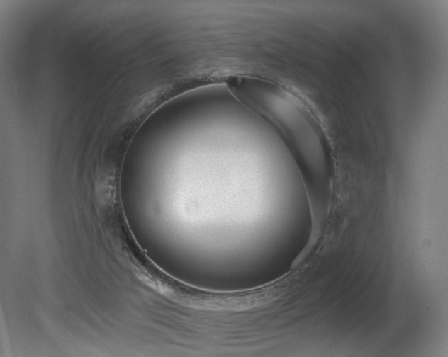 X0000079580017200612011230