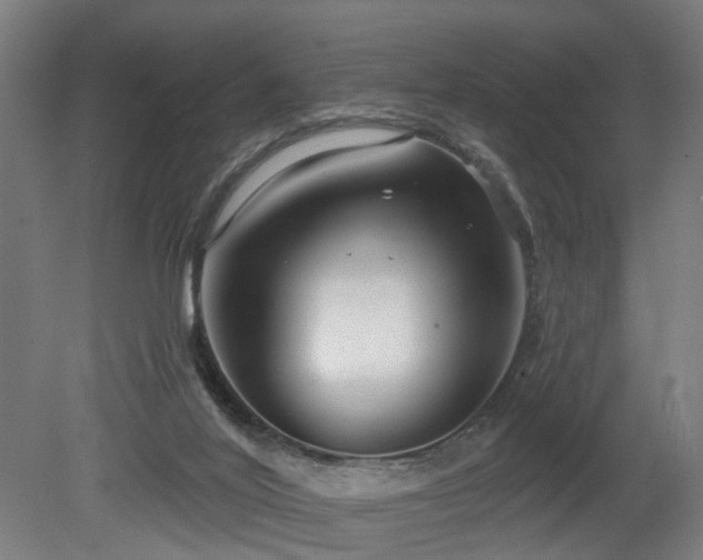 X0000079580020200612011230