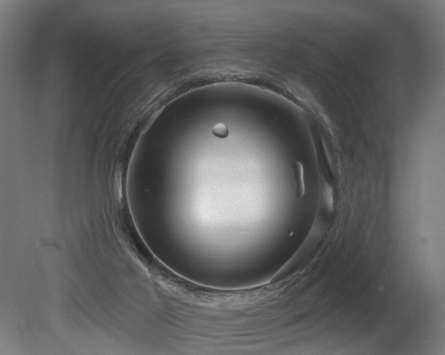 X0000079580021200612011230