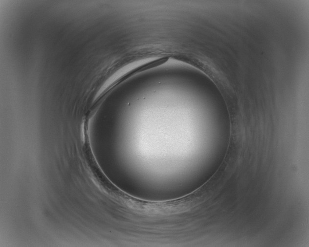 X0000079580022200612011230