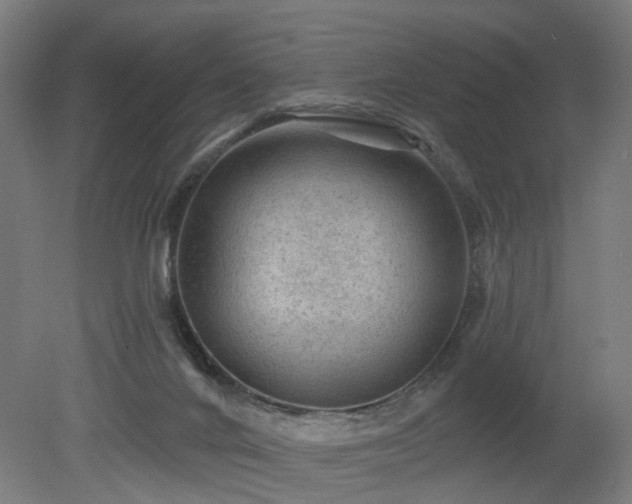 X0000079580024200612011230