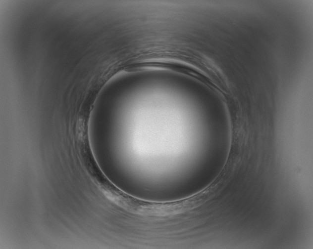 X0000079580025200612011230