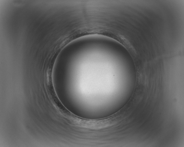 X0000079580026200612011229