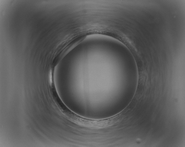 X0000079580027200612011229