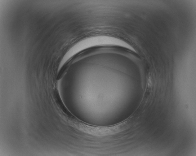 X0000079580031200612011229