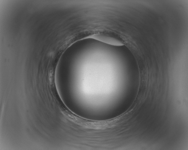 X0000079580033200612011229