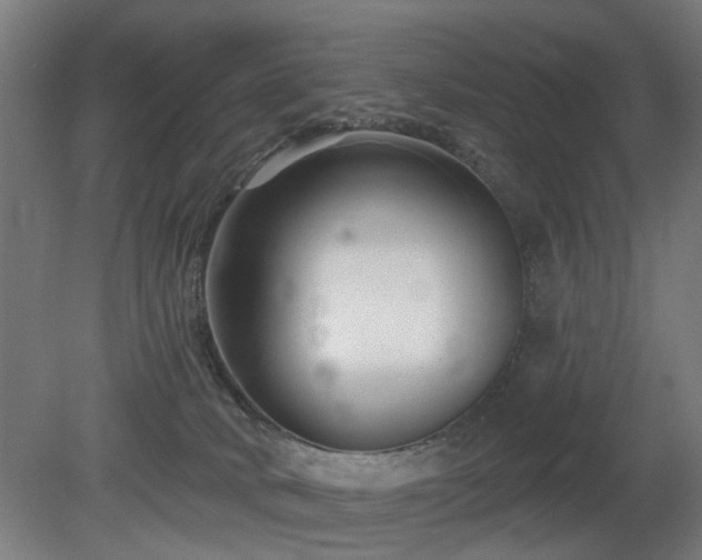 X0000079580034200612011229