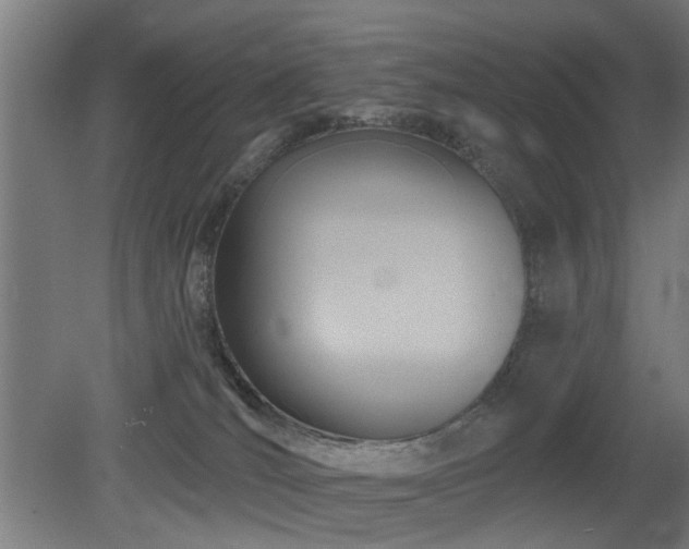 X0000079580036200612011229