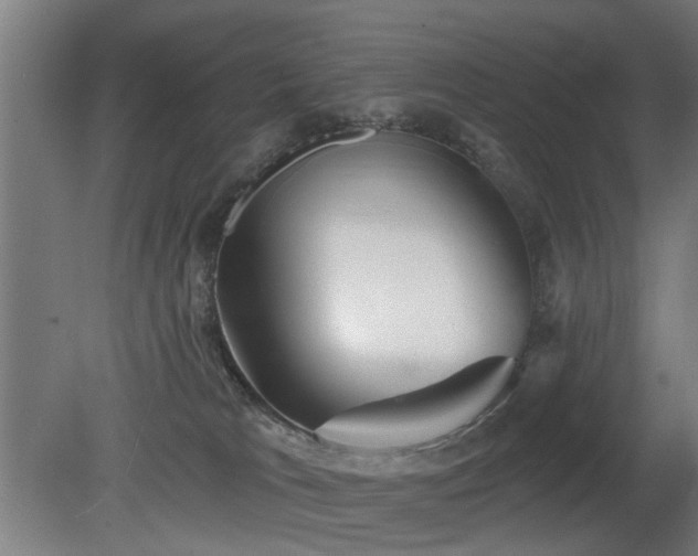 X0000079580037200612011229