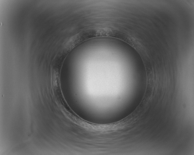 X0000079580038200612011229