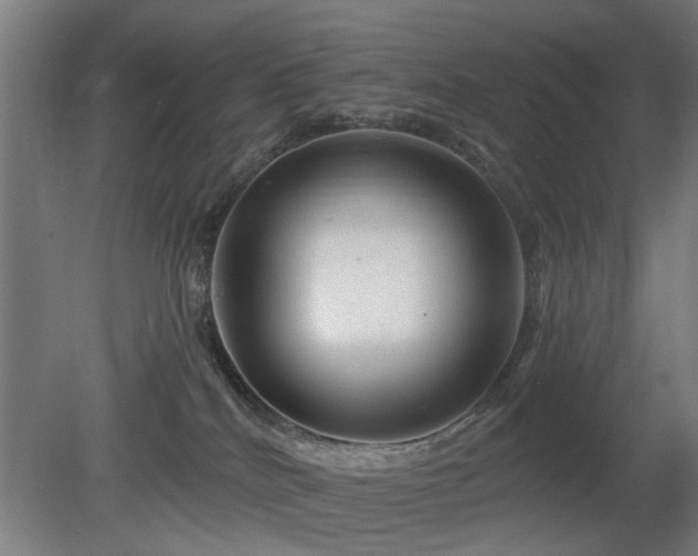 X0000079580040200612011229
