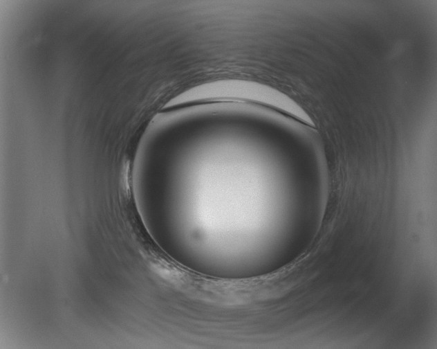 X0000079580041200612011229