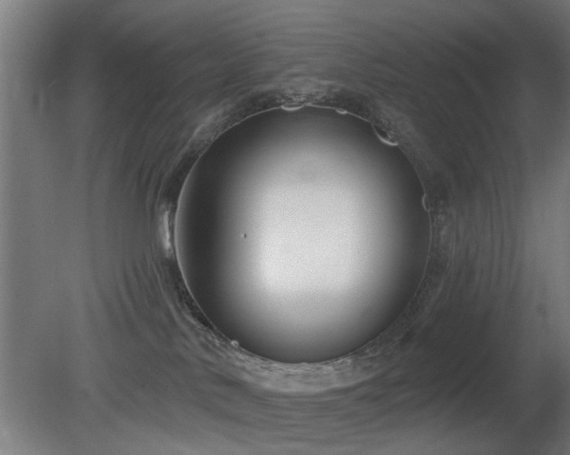 X0000079580042200612011229