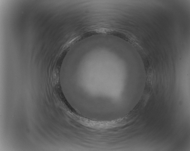 X0000079580043200612011229
