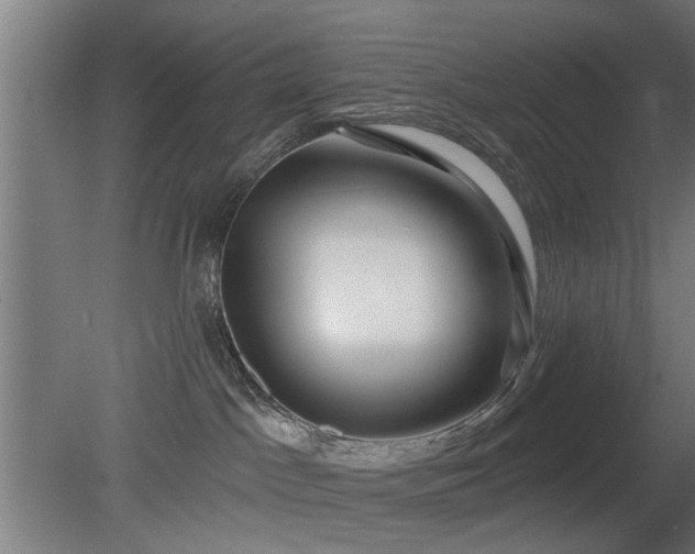 X0000079580045200612011229