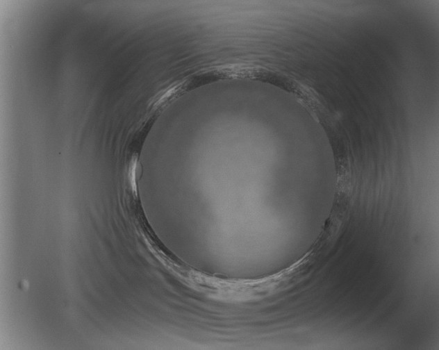 X0000079580047200612011229