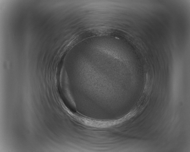 X0000079580048200612011229