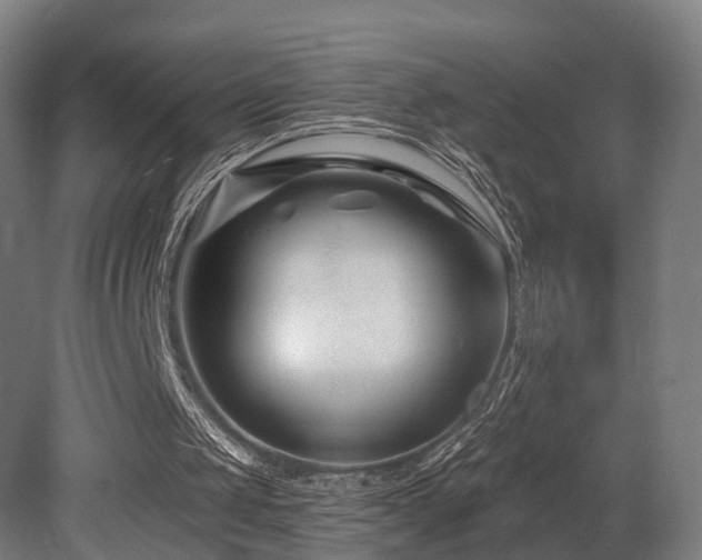 X0000079580049200612011228