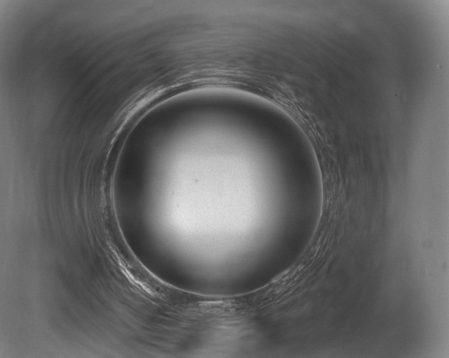 X0000079580050200612011228