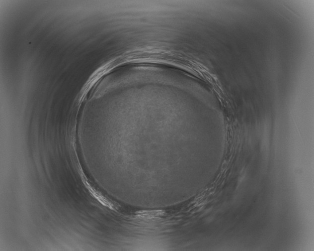X0000079580051200612011228