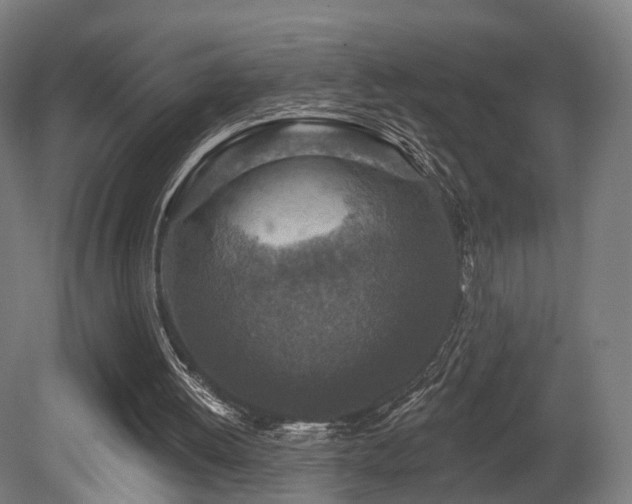 X0000079580052200612011228