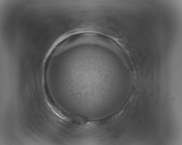 X0000079580056200612011228