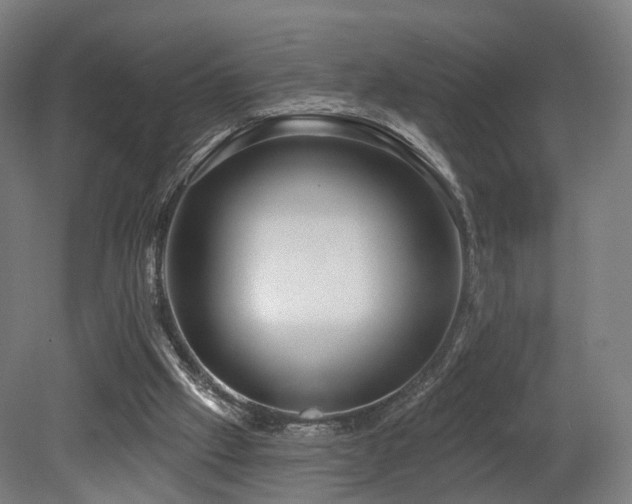 X0000079580057200612011228