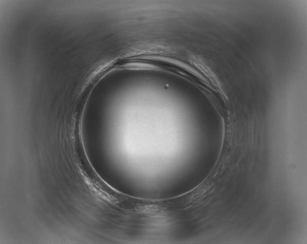 X0000079580058200612011228