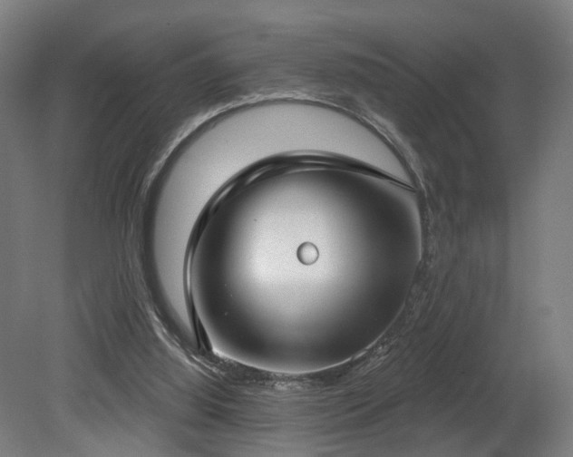 X0000079580060200612011229