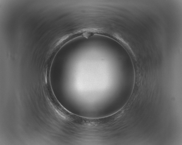 X0000079580062200612011229