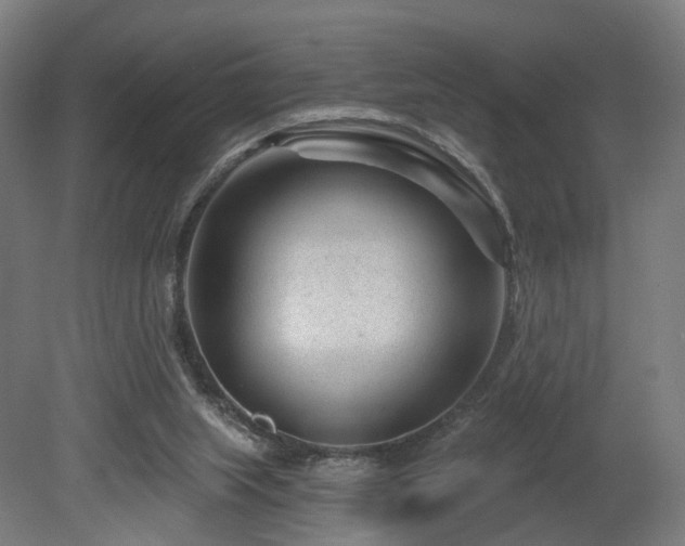 X0000079580063200612011229