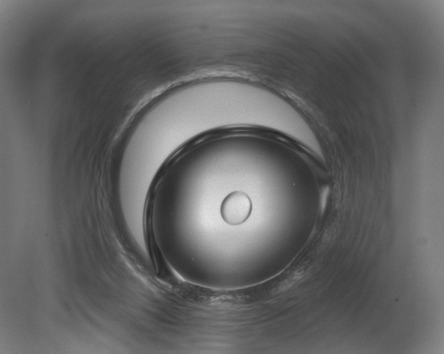 X0000079580064200612011229