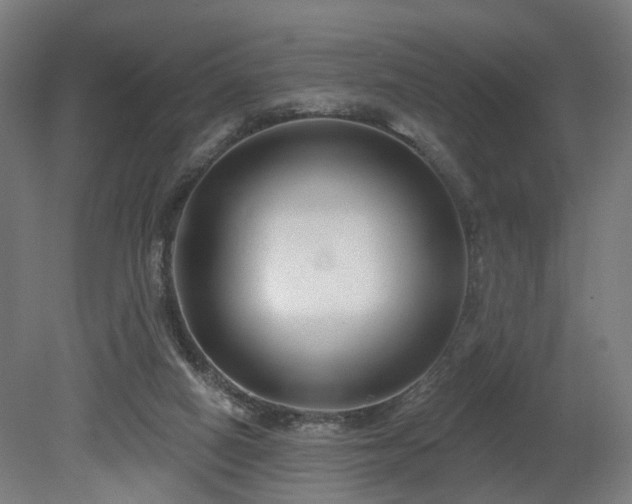 X0000079580066200612011229
