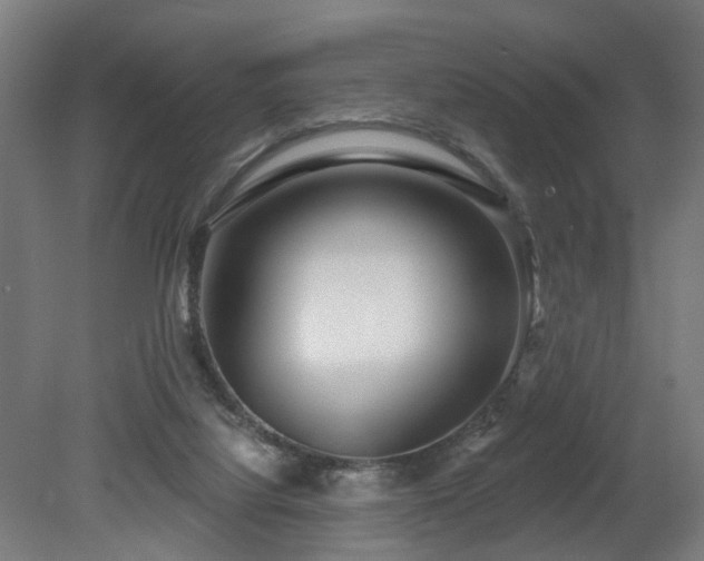 X0000079580068200612011229
