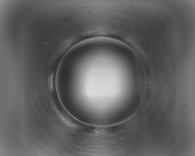 X0000079580070200612011229