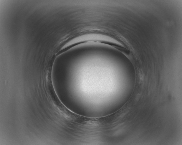 X0000079580071200612011229