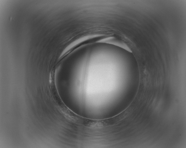 X0000079580075200612011229