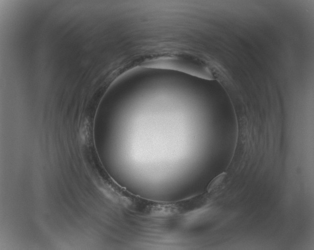 X0000079580077200612011229