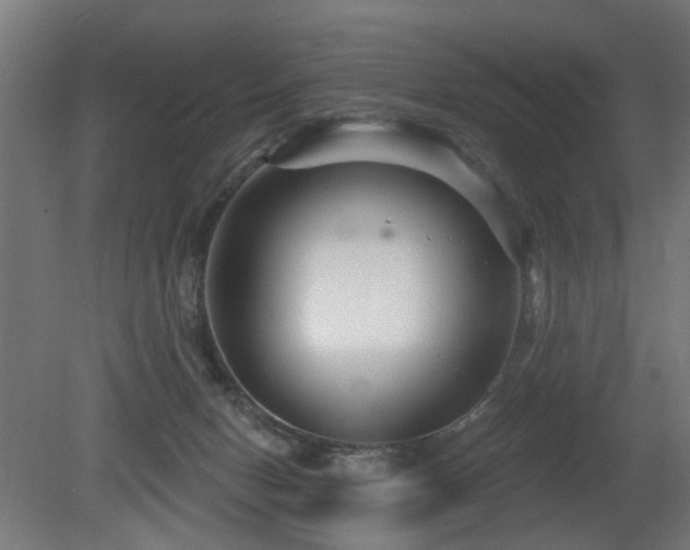 X0000079580078200612011229
