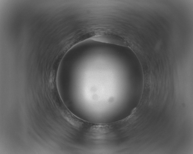 X0000079580082200612011229