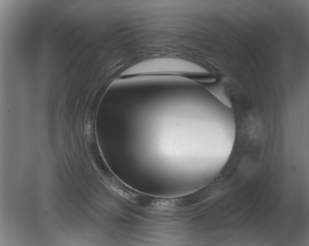 X0000079580084200612011229
