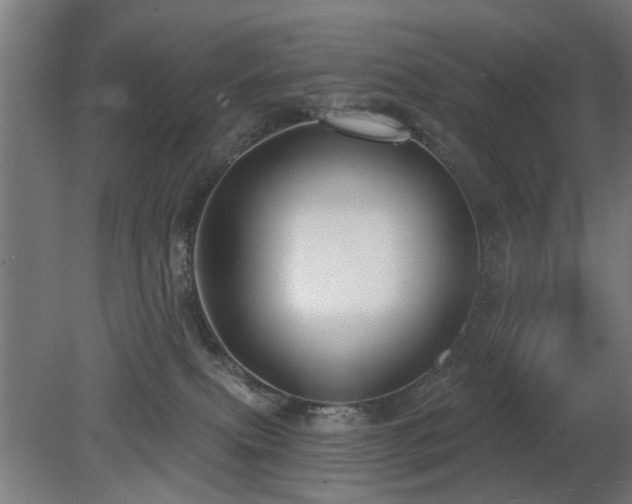 X0000079580087200612011229