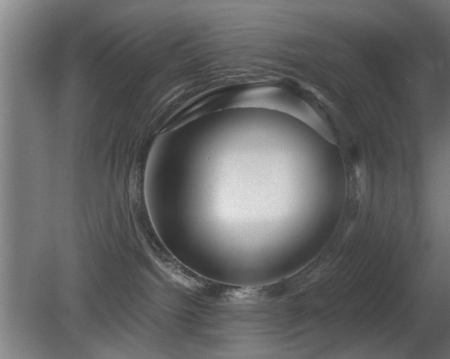 X0000079580092200612011229
