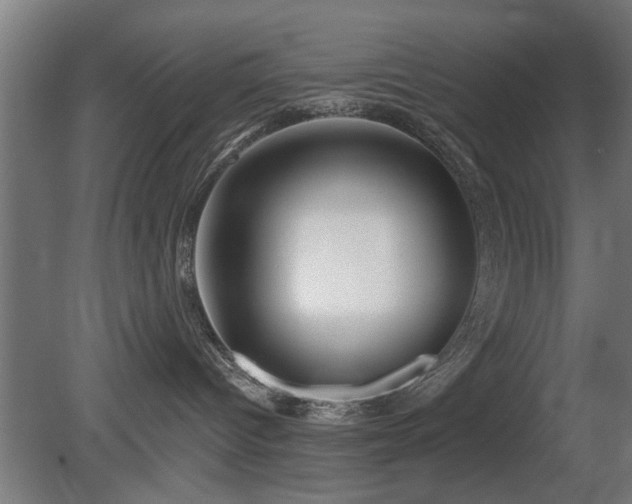 X0000079580096200612011229