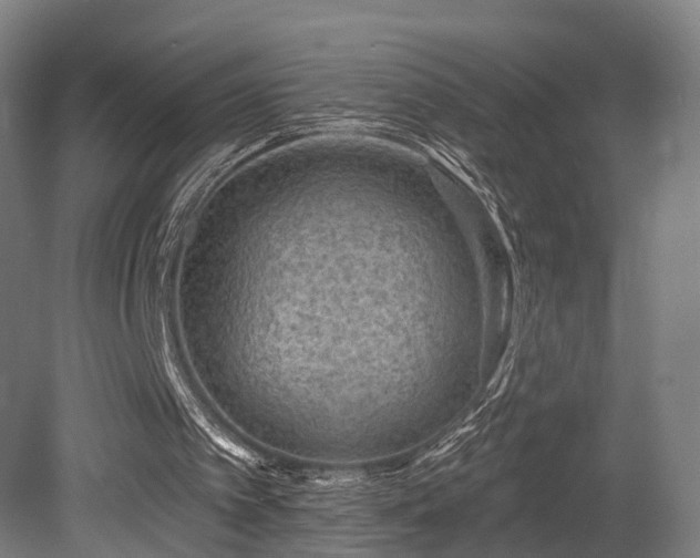 X0000079580097200612011228