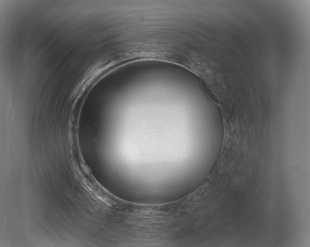 X0000079580098200612011228